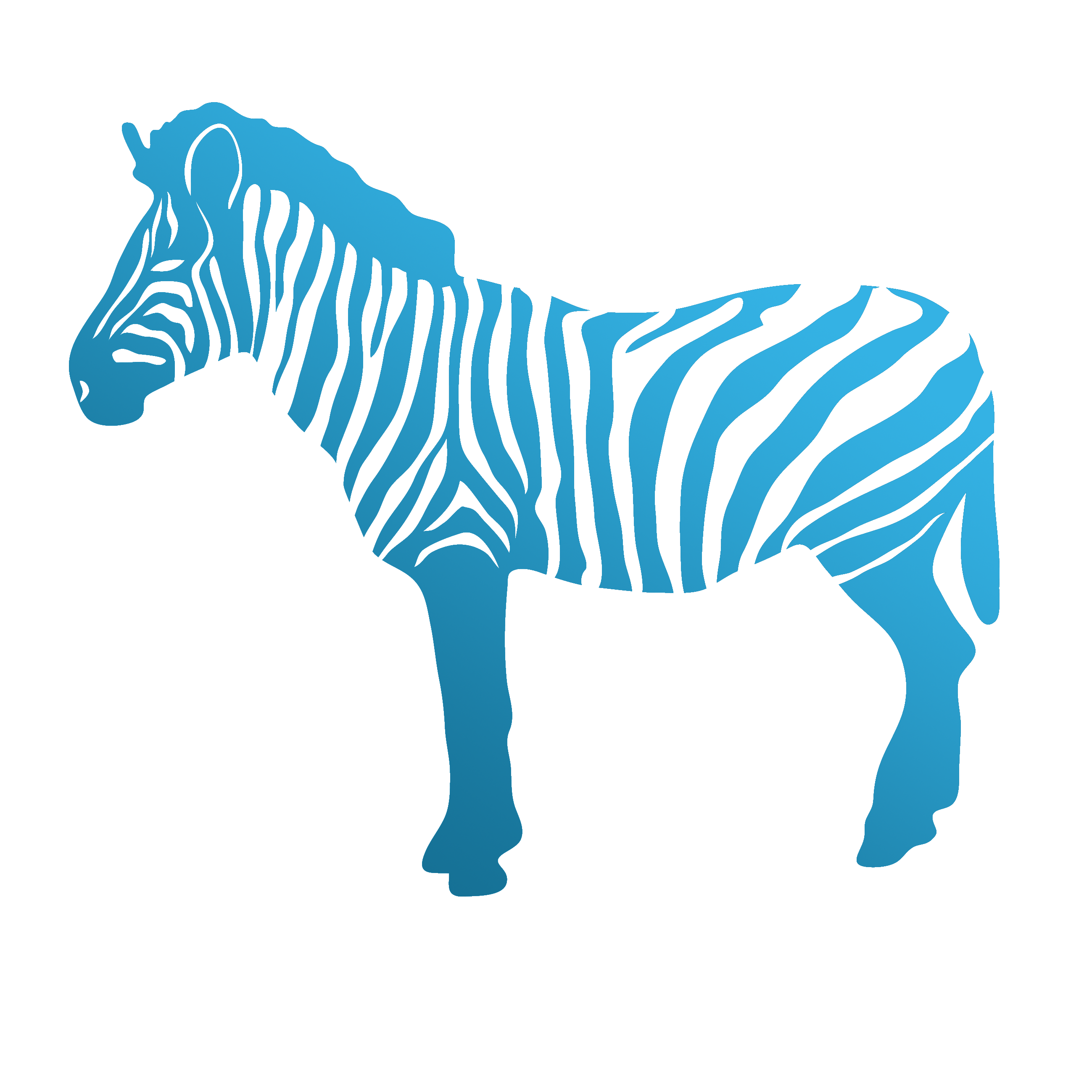 attazoo_zebra